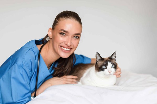 How to Choose the Perfect Therapy Cat for a Senior Citizen's Home?