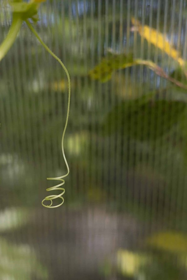 How Are Smart Homes Adapting to Support Elderly Independence in the UK?