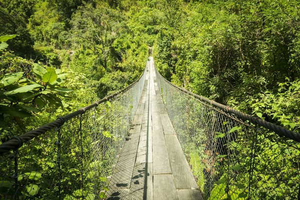 How to Counteract the Skill Gap in UK's Emerging Tech Sectors?